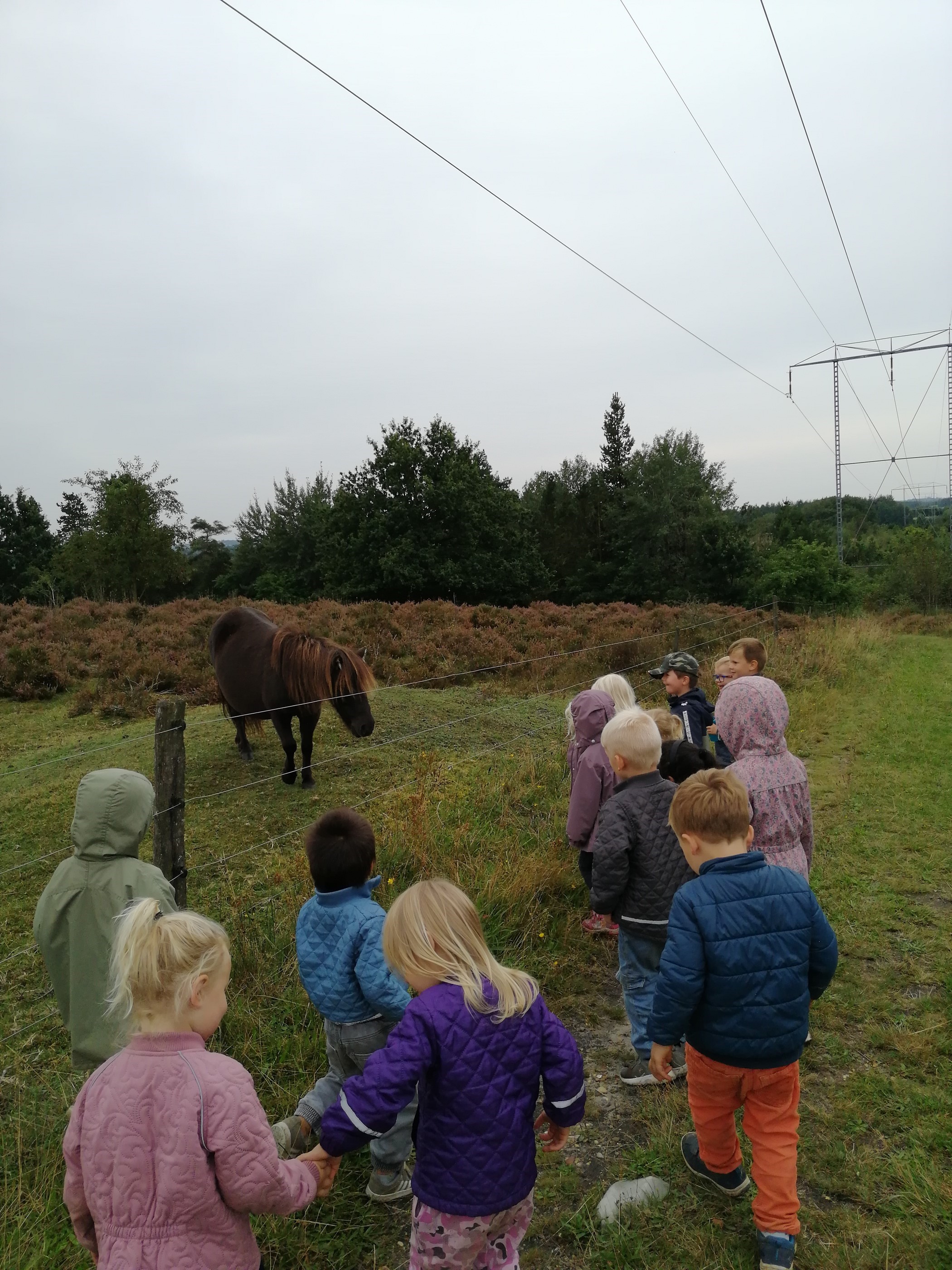 Børn med hest
