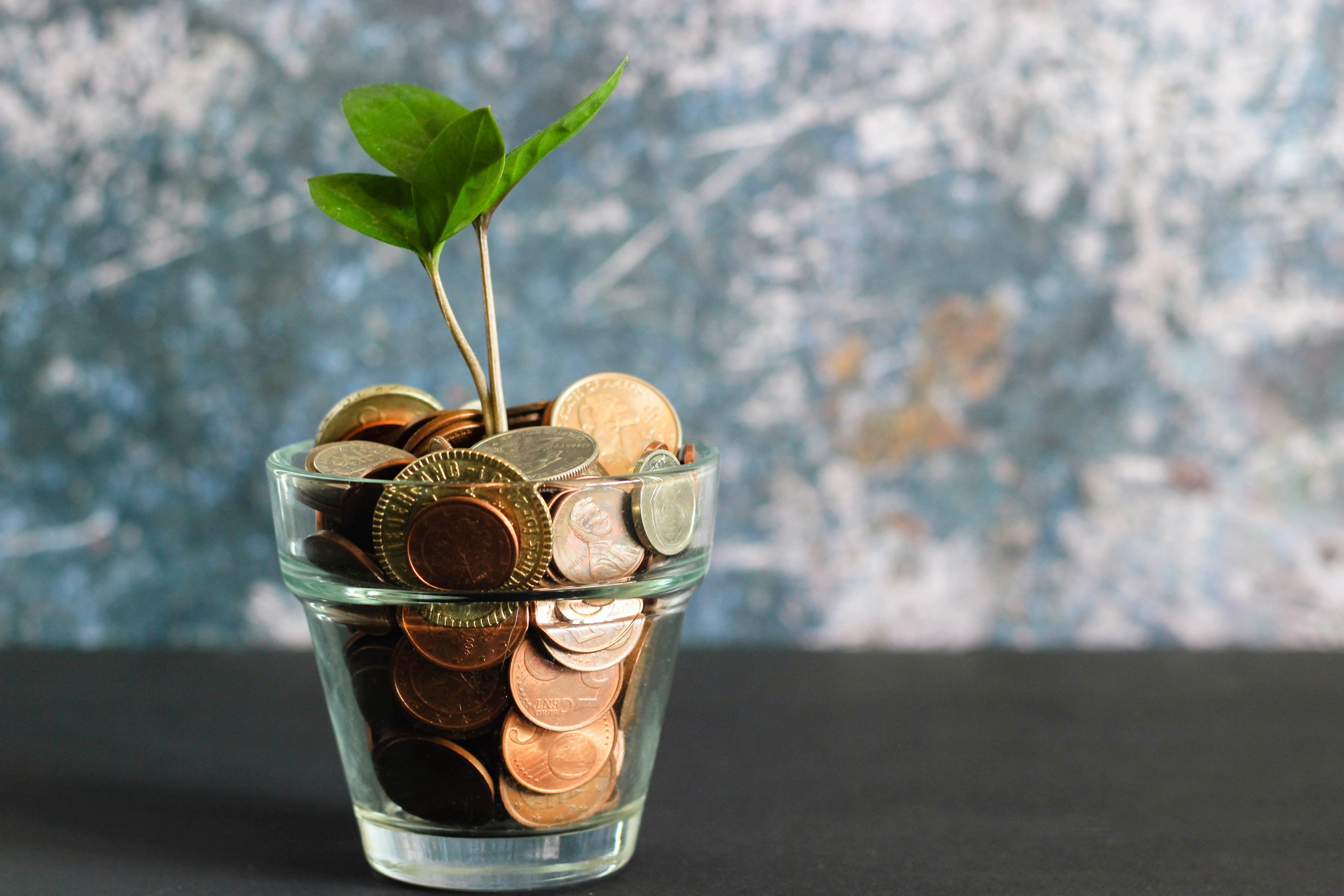 Penge i et glas med en lille plante i